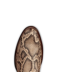 The Dean - Mangrove Invasive Python